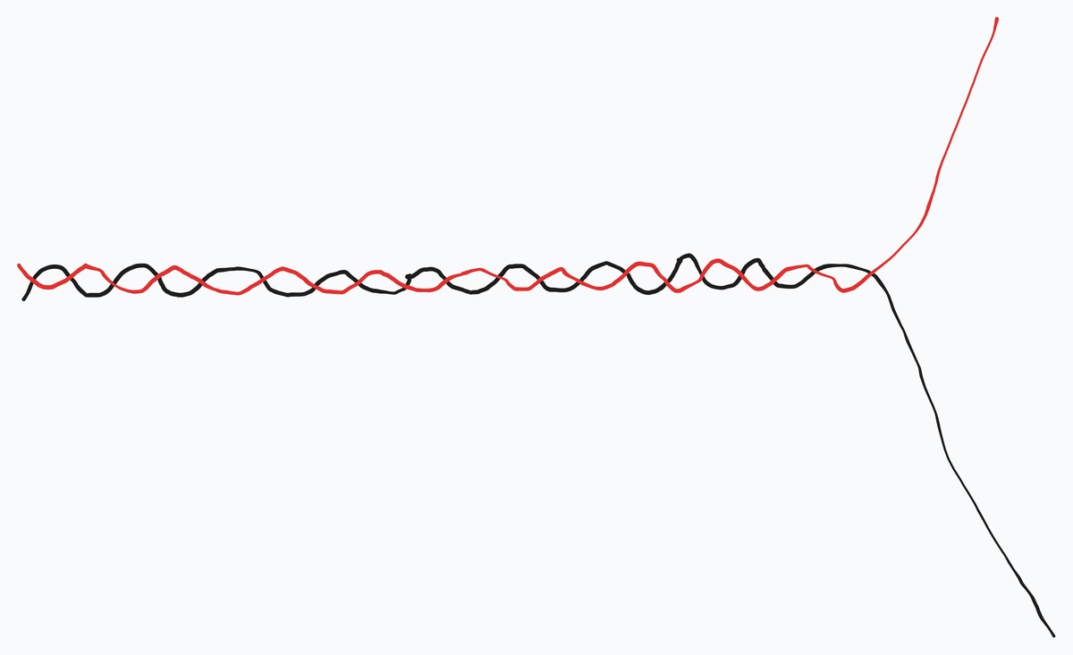 Photo of two lines.